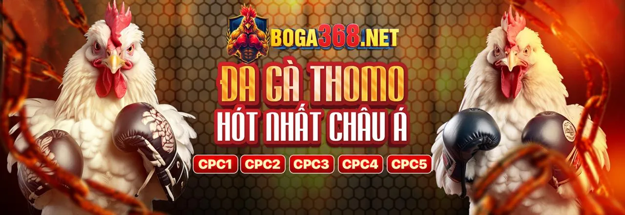 Giao diện Kubet App iOS với các tính năng mới và trải nghiệm cá cược di động